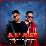 A l&039;aise-cover