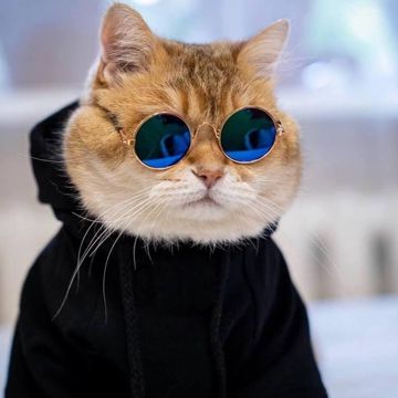 coveImg