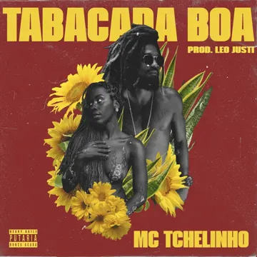 Tabacada Boa (Ela é Safadinha)-cover