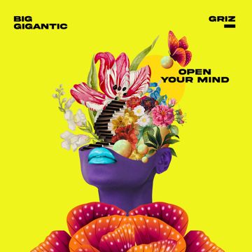 Open Your Mind-cover