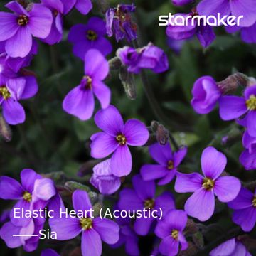 Elastic Heart (Acoustic)-cover