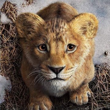 Tell Me It's You (From "Mufasa: The Lion King")