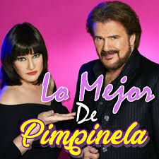 El Amor No Se Puede Olvidar-cover