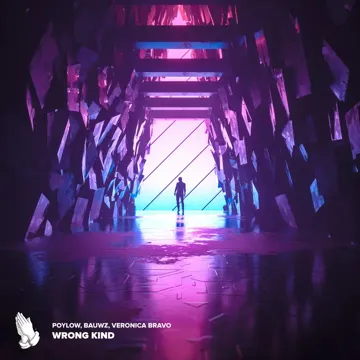 Wrong Kind-cover