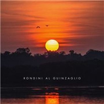 Rondini al guinzaglio-cover