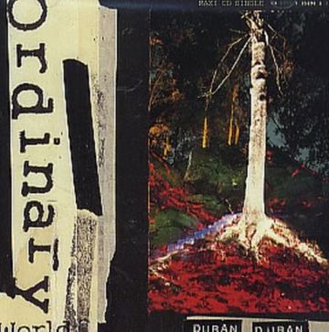 Ordinary World-cover
