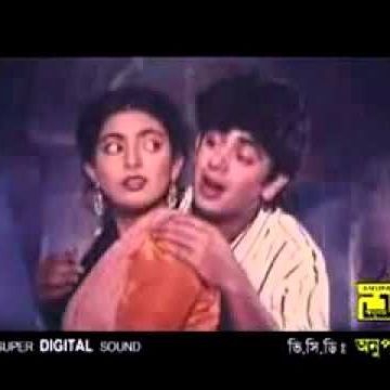 তুমি এসেছিলে পরশু-cover