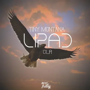 Lipad