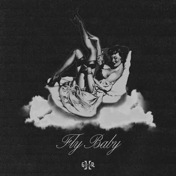 Fly Baby-cover