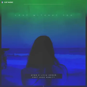 Lost Without You (Danny Slim Remix)-cover