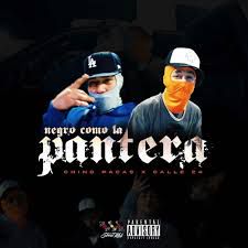 Negro Como La Pantera-cover