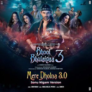 Mere Dholna Sun-cover