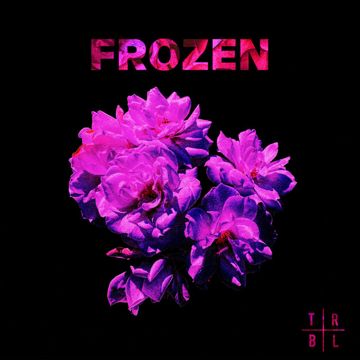 Frozen-cover