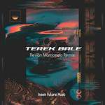 TEREK BALE(RevanMamondoL Remix)(Remix)