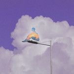 What To Do (feat. Vahn & EunBii)-cover
