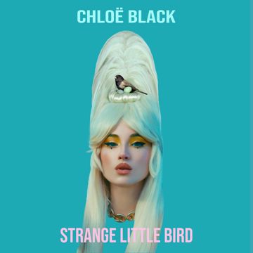 Strange Little Bird-cover