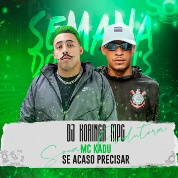 Se Acaso Precisar-cover
