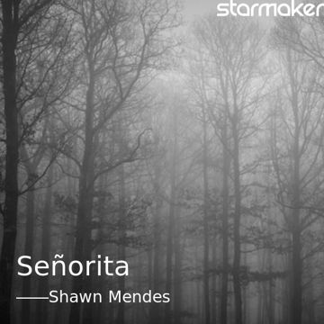 Señorita-cover