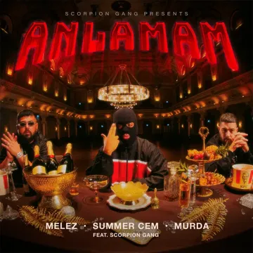 ANLAMAM (feat. Scorpion Gang)-cover