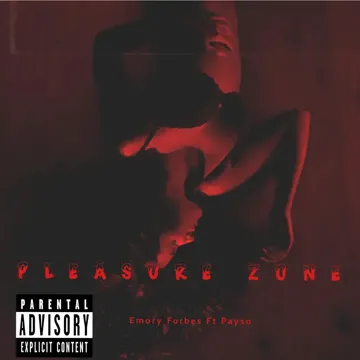 The Pleasure Zone-cover