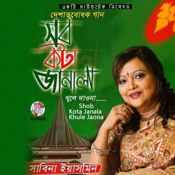 Shei Railliner-cover