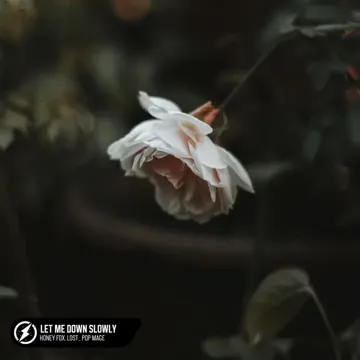 Let Me Down Slowly-cover