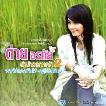 วันที่บ่มีอ้าย-cover