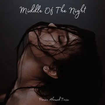 Middle of the Night (Lofi)