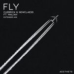 Fly(Extended Mix)-cover