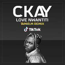 Love Nwantiti TikTok Remix-cover