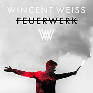 Feuerwerk-cover