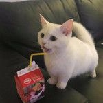 coveImg