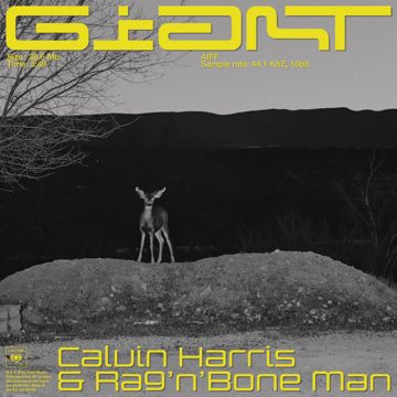 Giant-cover