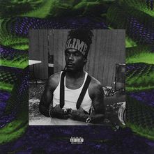 Anybody-cover