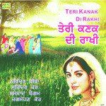 Lak Hile Majajan Jandi Da-cover