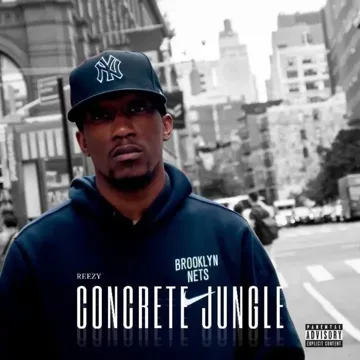 Vibe Chronicles-cover