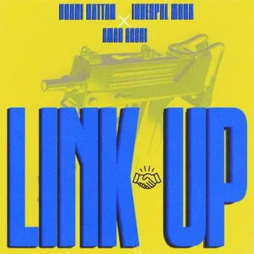 Link up-cover