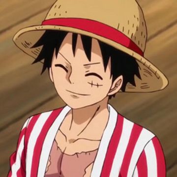 One Piece-cover
