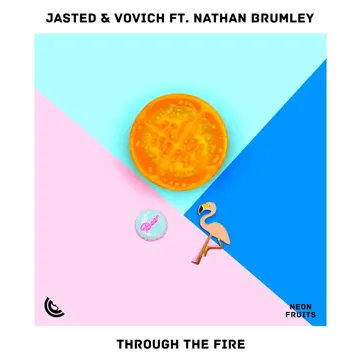 Through the Fire-cover