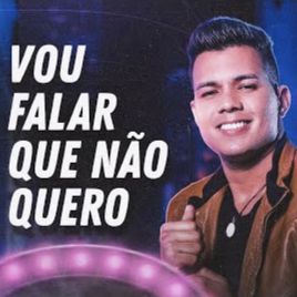 Vou Falar  Que Não Quero-cover