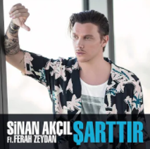 Şarttır-cover
