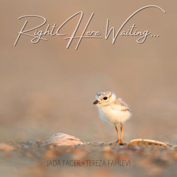 Right Here Waiting (Acoustic)-cover