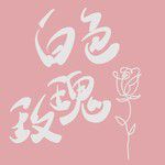 白色玫瑰花-cover