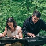 The Forest-cover