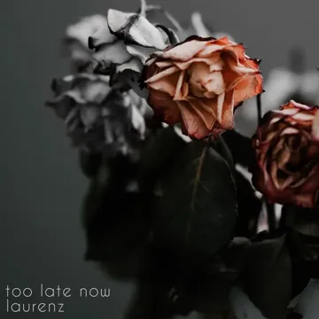 Too Late Now-cover