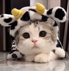 ไม่คิดว่าจะเจ็บขนาดนี้-cover