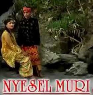 Nyesel Muri