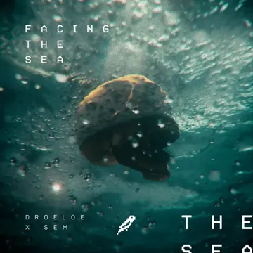 Facing the Sea-cover