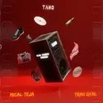 Trini Gyal