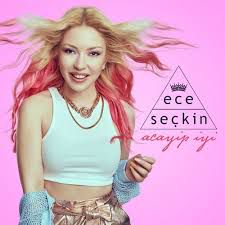 Yastık-cover
